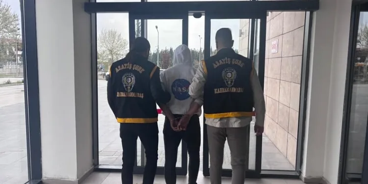 Ayvalık’ta uyuşturucu operasyonunda 28 kök kenevir ele geçirildi