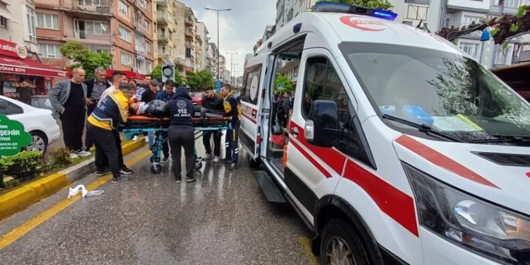 Ayvalık’ta uyuşturucu operasyonunda 28 kök kenevir ele geçirildi