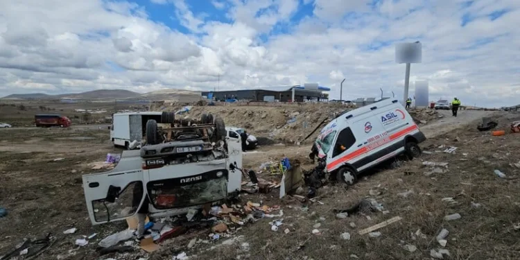 Ayvalık’ta uyuşturucu operasyonunda 28 kök kenevir ele geçirildi