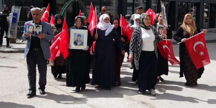 Ayvalık’ta uyuşturucu operasyonunda 28 kök kenevir ele geçirildi
