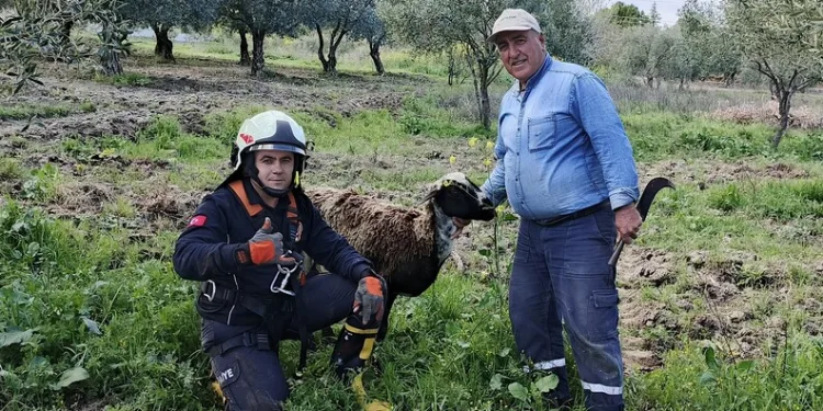 Şanlıurfa’da göçükte hayatını kaybeden 3 işçi gözyaşlarıyla defnedildi