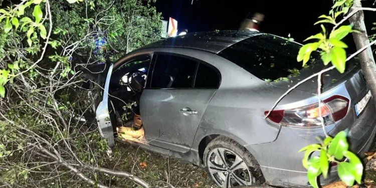 Kuzey Kore lideri Kim, savaş provasını andıran özel kuvvetler tatbikatını denetledi