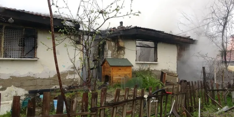 Karnavala giderken otobüsle çarpıştı: 1 ölü, 1 yaralı