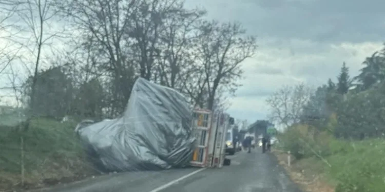 Polis, uygulama noktasını görünce geri geri kaçan aracı koşarak böyle yakaladı