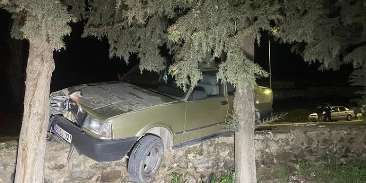 Sürücüsü kalp krizi geçiren otomobil ağaca çarptı: 1 ölü