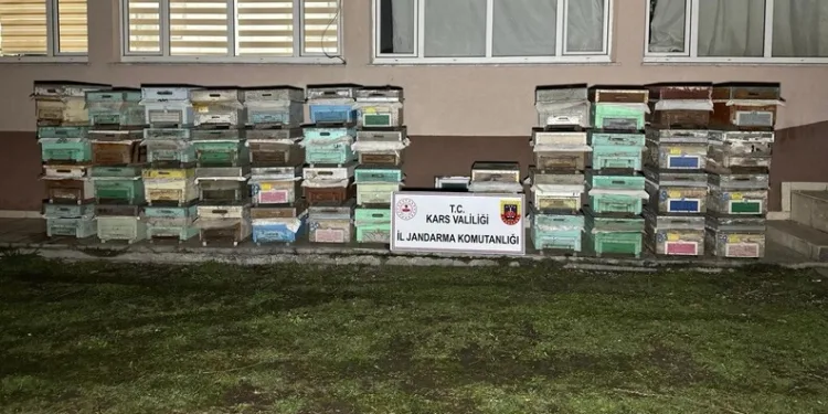 SMA hastası çocuk adına bağış toplandığı zannedildi ama gerçek bambaşka çıktı