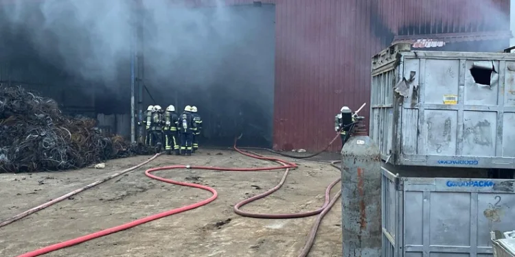 İzmir açıklarında 29 düzensiz göçmen yakalandı