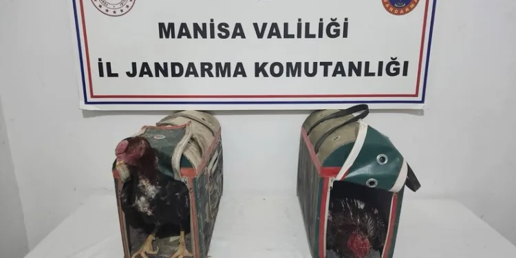 Otomobil ile hafif ticari araç çarpıştı: 1’i ağır 2 yaralı