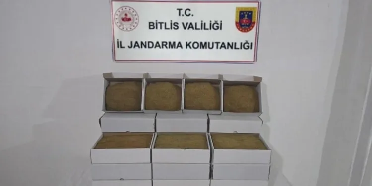 Şüphe üzerine durdurulan araçtan 229 bin makaron çıktı