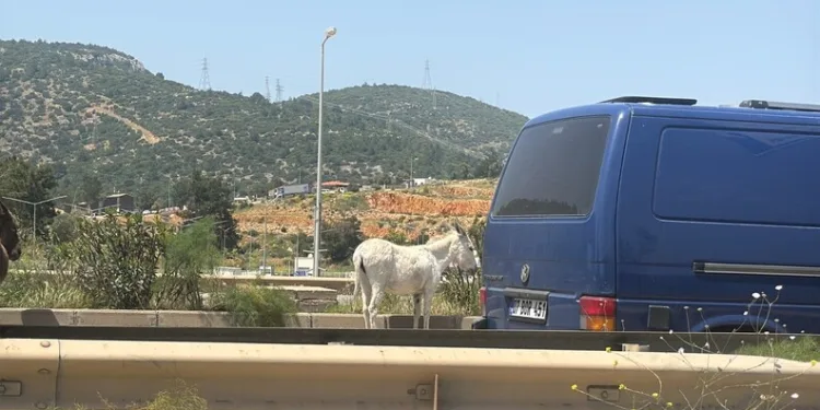 Fethiye’de paraşüt kazası: 2 ölü
