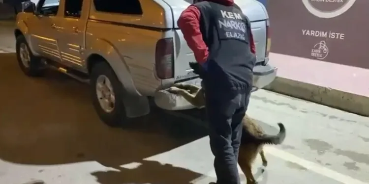 Dedesiyle aynı kaderi paylaştı, Rusya’da dağ tırmanışında donarak öldü