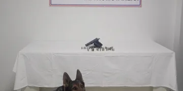 Dedesiyle aynı kaderi paylaştı, Rusya’da dağ tırmanışında donarak öldü
