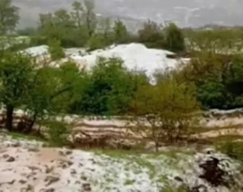 Dedesiyle aynı kaderi paylaştı, Rusya’da dağ tırmanışında donarak öldü