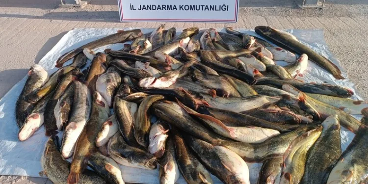 Erzincan’da motosiklet denetimi; 11 motosiklet trafikten men edildi