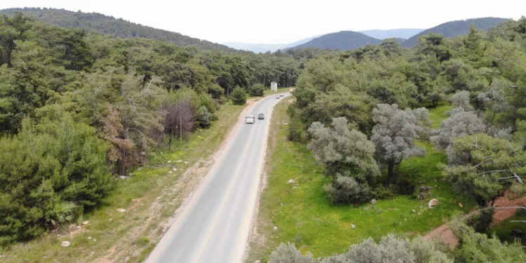 “Yapay zeka bazı zekaları geride bırakmış durumda”