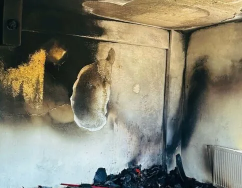 Aracının içine giren yılanı böyle uğurladı: “Bir daha gelme arkadaşım”
