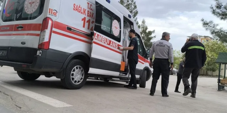 Aracının içine giren yılanı böyle uğurladı: “Bir daha gelme arkadaşım”