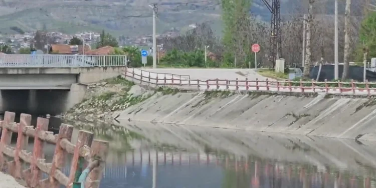 Aracının içine giren yılanı böyle uğurladı: “Bir daha gelme arkadaşım”