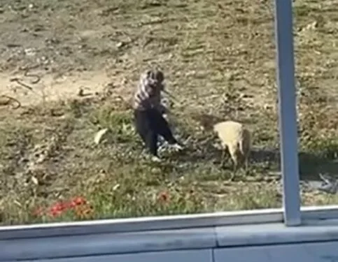 Motosiklet hırsızları tutuklandı
