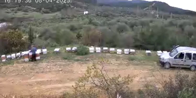 Selendi’de polis ve jandarma personeline başarı belgesi verildi