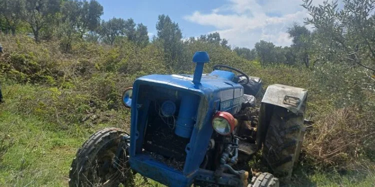 Selendi’de polis ve jandarma personeline başarı belgesi verildi