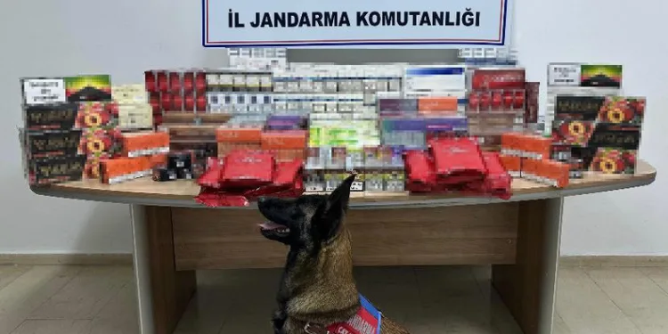 Baca temizliği yapan imam merdivenden düşerek hayatını kaybetti