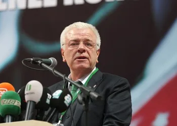 Ali Ay