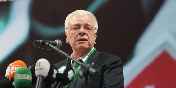 Ali Ay
