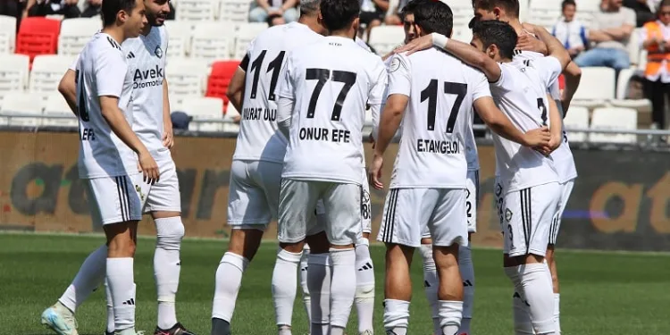 Altay