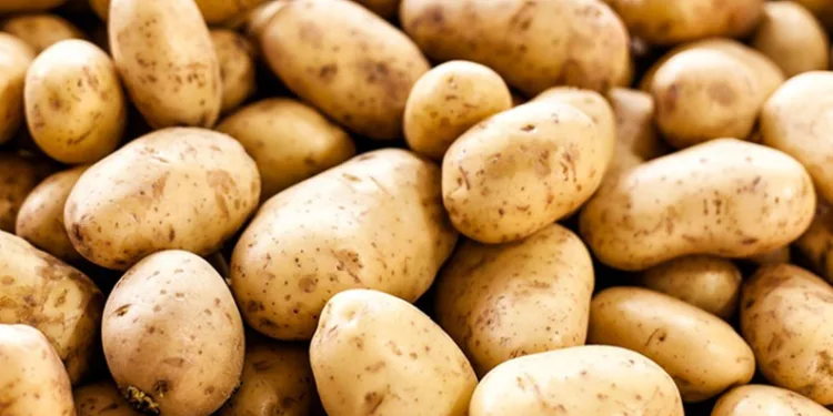 Mart’ta en çok patates pahalandı