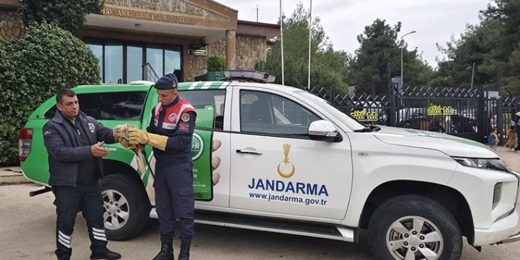 Park halindeki tıra çarpan minibüs kağıt gibi ezildi: 1 ölü