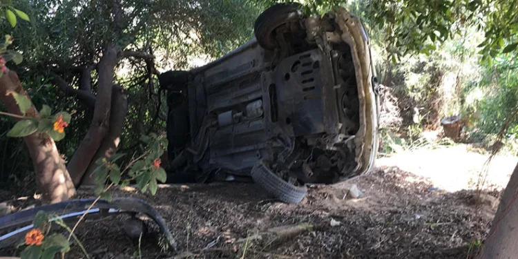 Bahçeye savrulan otomobilin sürücüsü yaralandı