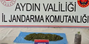 Aydın’da uyuşturucu operasyonu: 36 şüpheli yakalandı