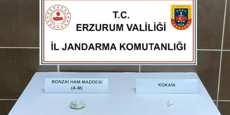 Mantar toplarken yabani hayvan sandığı arkadaşını av tüfeğiyle vurdu