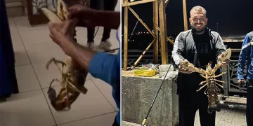 Gemlik Körfezi’nde dev istakoz yakalandı