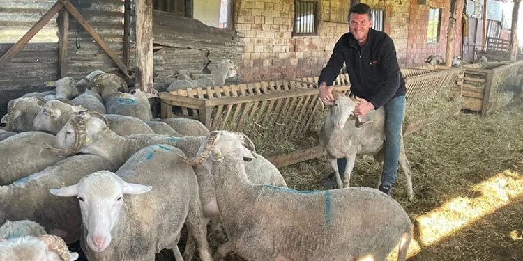 Kurbanlıkları satıp kazancıyla evlenecek