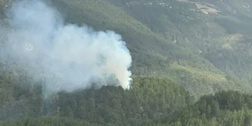 Kumluca’da orman yangını