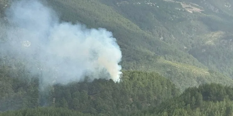 Kumluca’da orman yangını