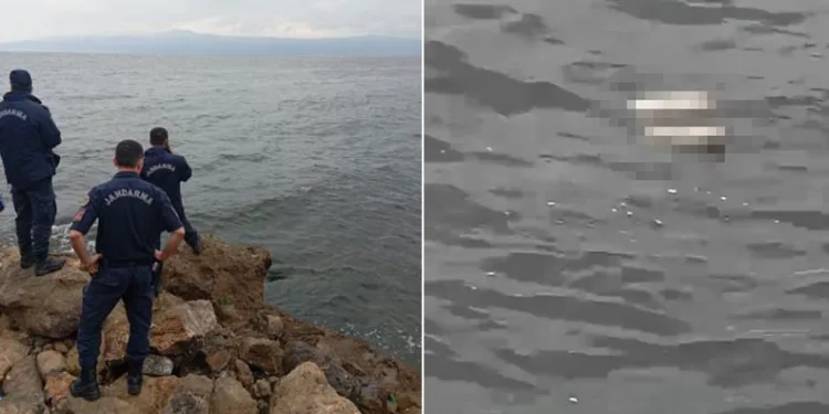Bursa Mudanya’da kıyıya ceset vurdu