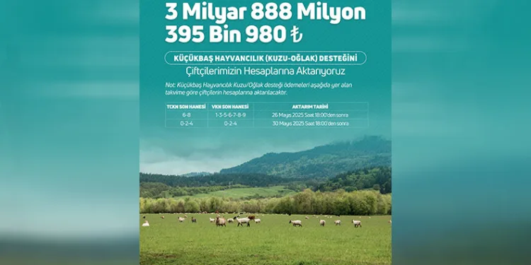 Küçükbaş hayvan üreticilerine destek