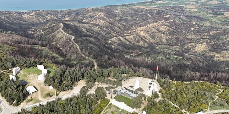 Çanakkale’de orman yeniden yeşermeye başladı