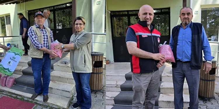 Bursa’da yolcu otobüsü düğün konvoyuna girdi, konvoyda tehlikeli anlar yaşandı