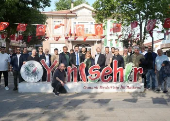 Yenişehir