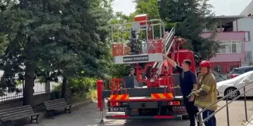 Bursa’da ağaçta mahsur kalan kedileri itfaiye kurtardı