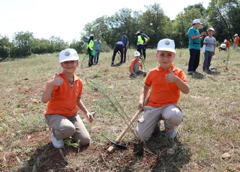 İnegöl’de çevre haftasında 150 fidan toprakla buluştu