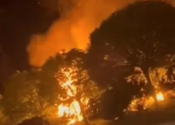 Sultangazi’de ormanlık alanda yangın