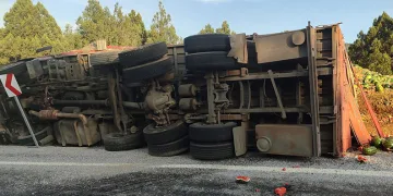 Antalya’da karpuz yüklü kamyon devrildi, tonlarca karpuz yol kenarına savruldu