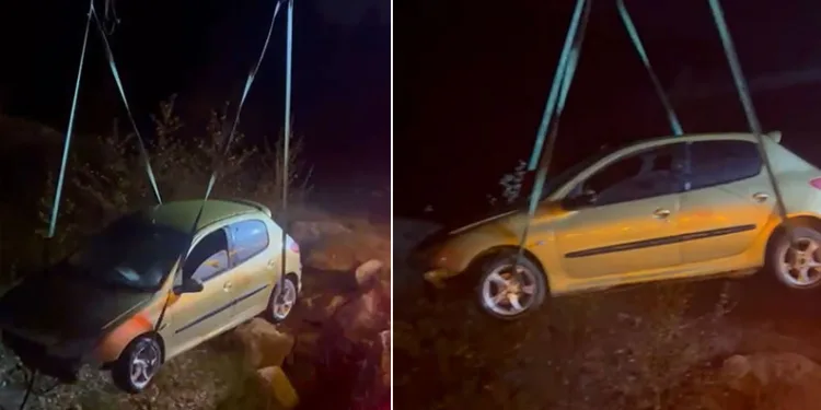 Bursa’da köpeğe çarpmak istemedi, şarampolden uçtu
