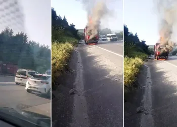Bursa’da hayvan yüklü kamyon alevlere teslim oldu
