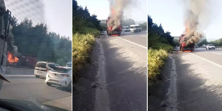 Bursa’da hayvan yüklü kamyon alevlere teslim oldu